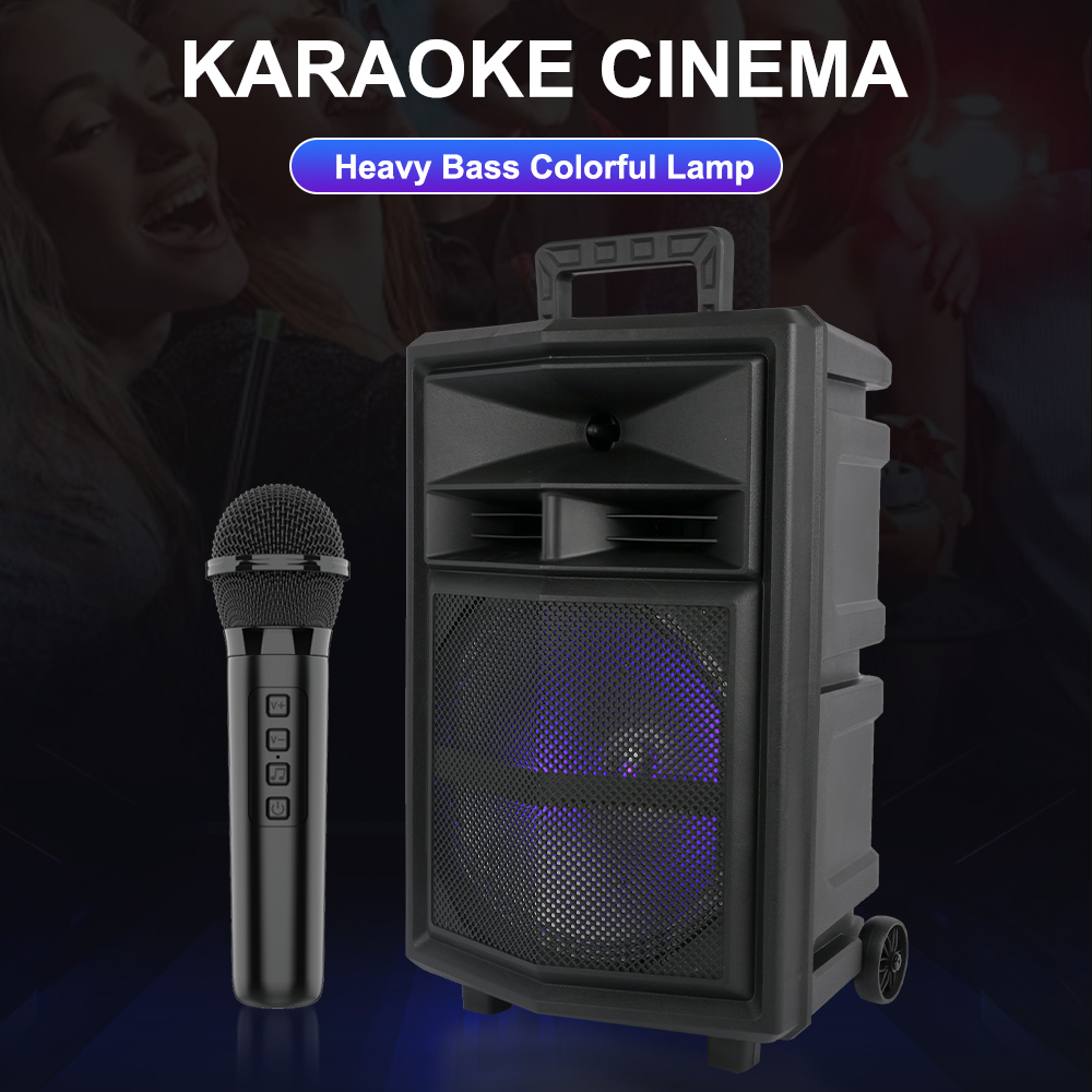12 insh + mic bluet + remote